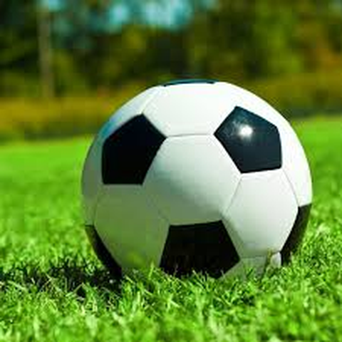 农娴思